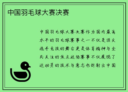 中国羽毛球大赛决赛