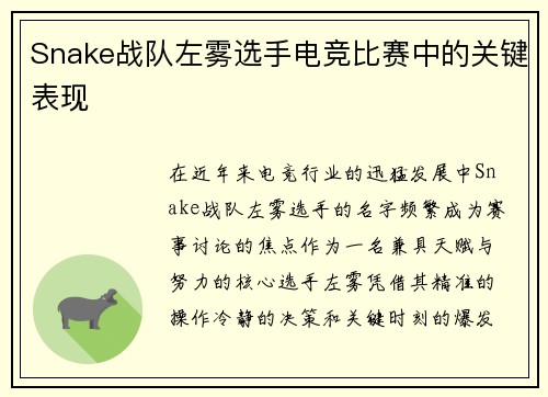 Snake战队左雾选手电竞比赛中的关键表现