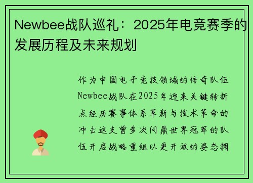 Newbee战队巡礼：2025年电竞赛季的发展历程及未来规划